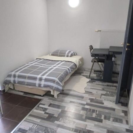 Studio Unique Apartment Timisoara Exterior photo